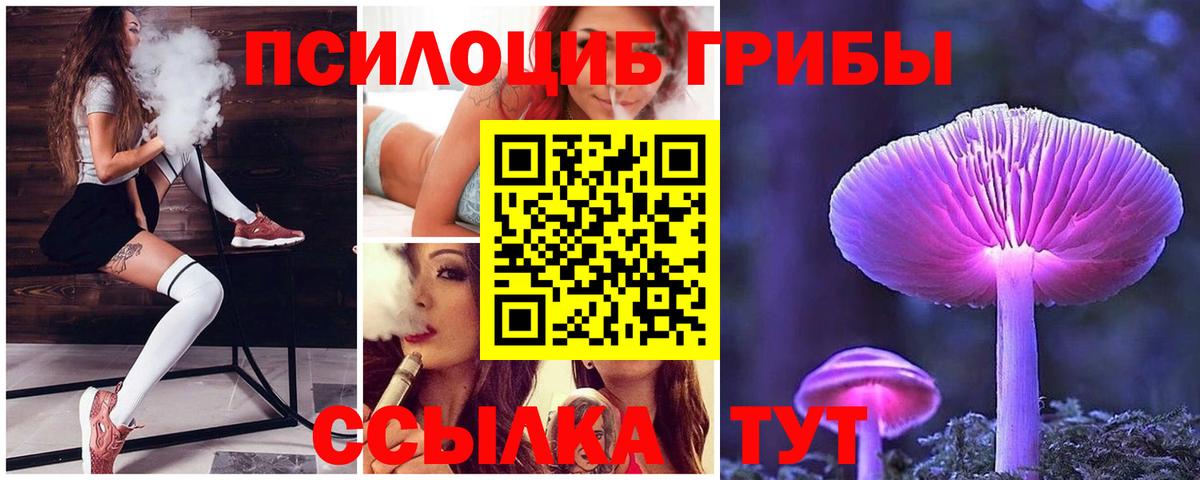 где найти наркотики  Псилоцибиновые грибы мицелий  Вход с VPN  Курчатов 