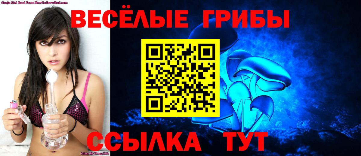 Где купить  Бошки Шишки  Гашиш  Вход с VPN  Курчатов  МЕФ кристаллы 