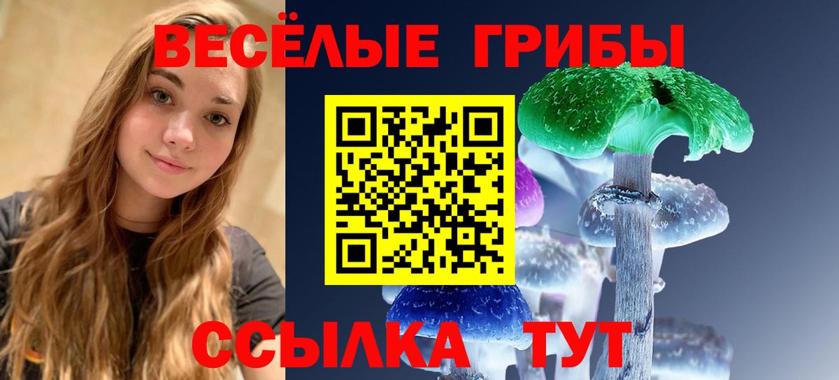 Галлюциногенные грибы GOLDEN TEACHER Курчатов